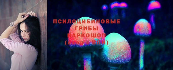 ECSTASY Новодвинск