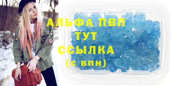 a pvp Новозыбков
